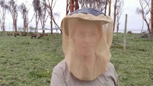 Moskitonetz für den Kopf sandfarben by Bushmen BU-HEMONETDES color Grau / Silber