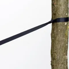 tree huggers - Baumgurte 2 Stück